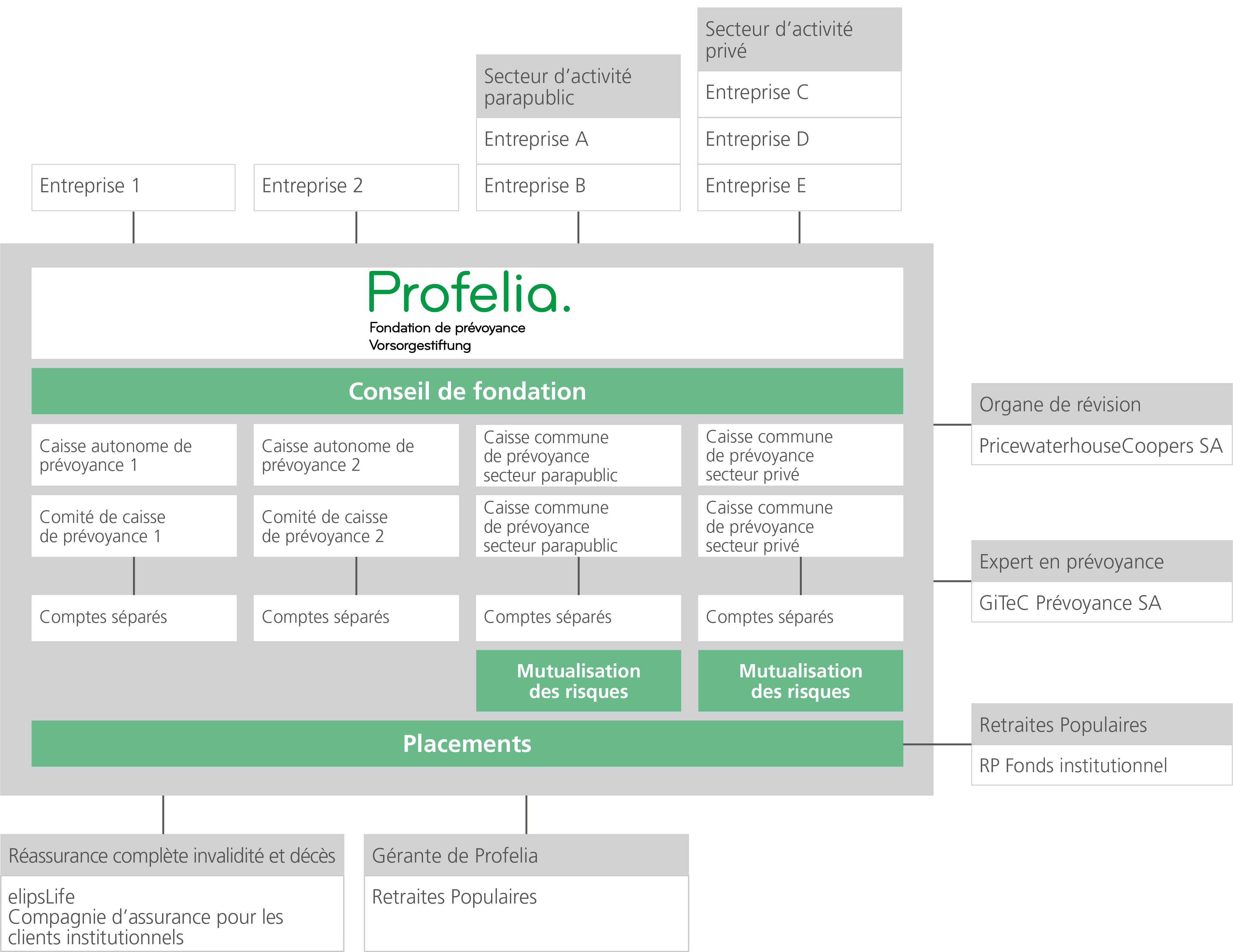 Organigramme de la fondation