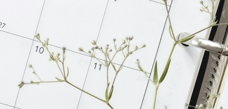 Calendrier des rentes 2025