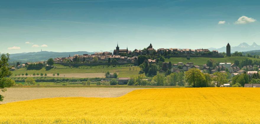 Le rapport d'activité 2023 de Profelia est disponible en ligne